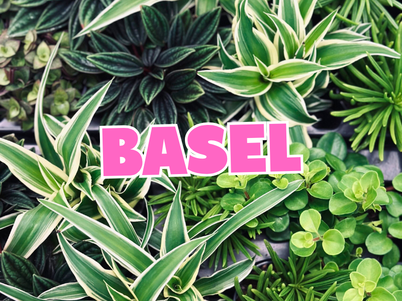 Großer Pflanzenverkauf <br>Basel