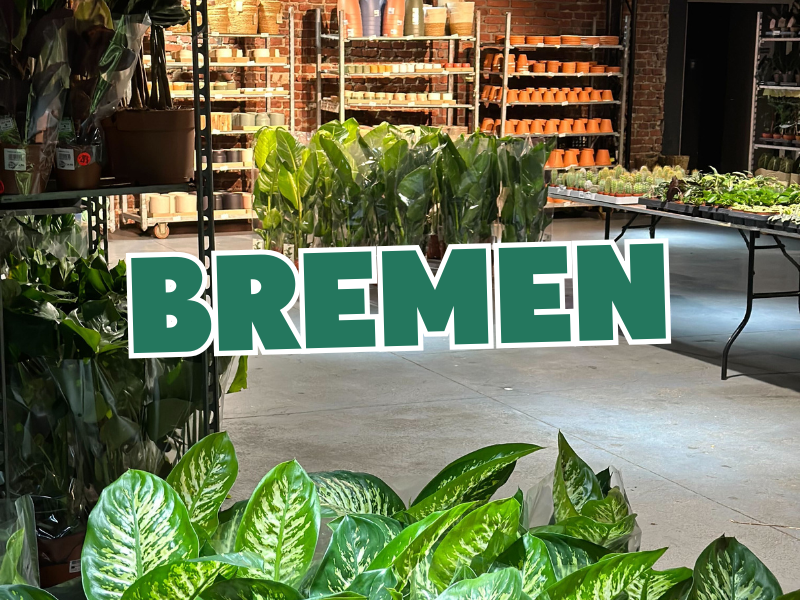 Großer Pflanzenverkauf <br> Bremen