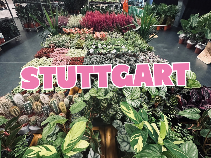 Großer Pflanzenverkauf <br> Stuttgart