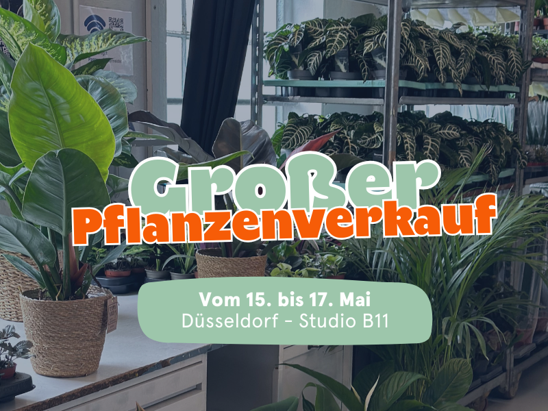 Großer Pflanzenverkauf <br> Düsseldorf