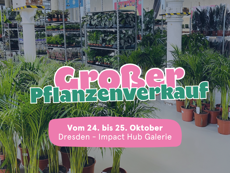 Großer Pflanzenverkauf <br> Dresden