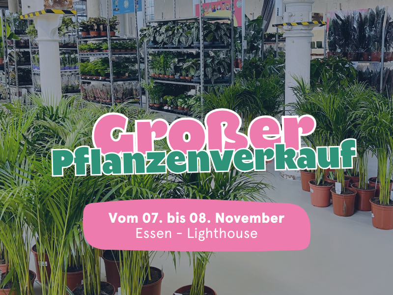 Großer Pflanzenverkauf <br> Essen