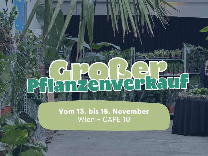 Großer Pflanzenverkauf <br> Wien