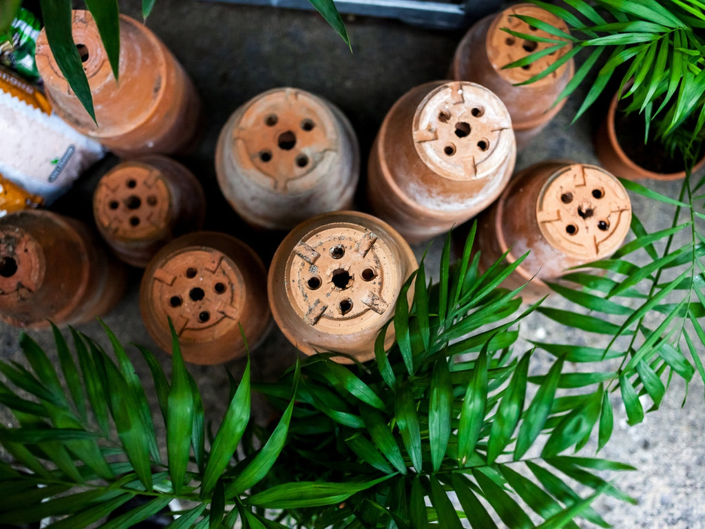 Großer Pflanzenverkauf <br> Wien