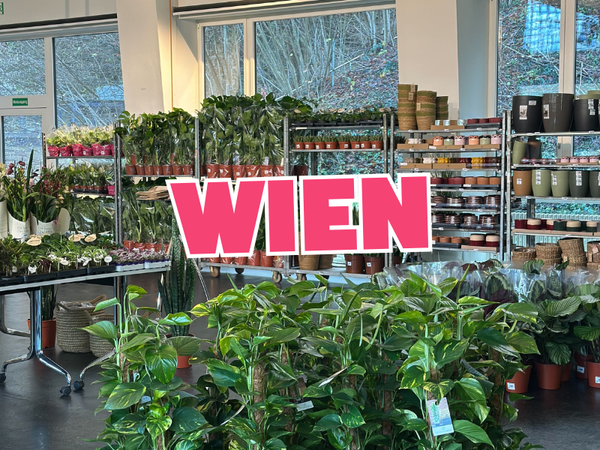 Großer Pflanzenverkauf <br> Wien