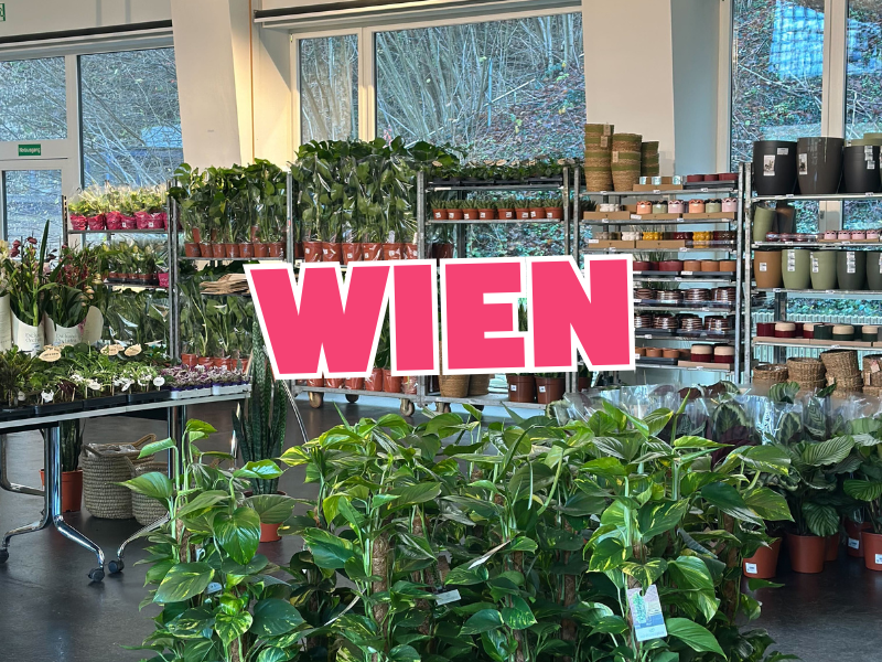 Großer Pflanzenverkauf <br> Wien