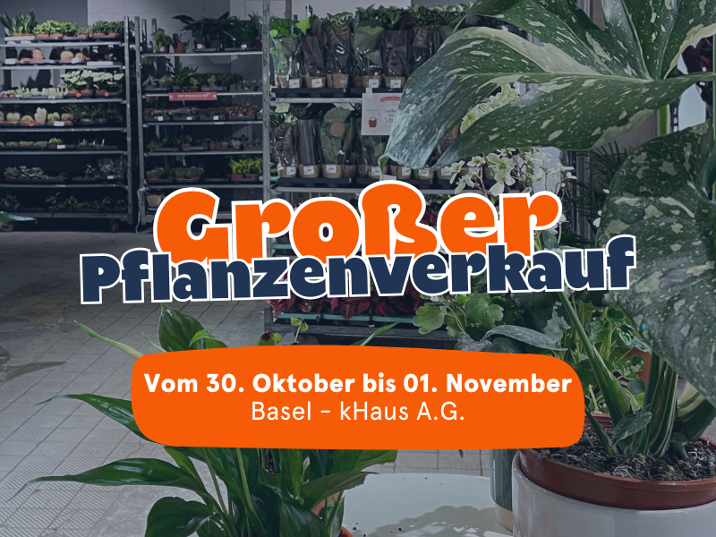 Großer Pflanzenverkauf  <br>Basel
