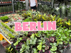 Großer Pflanzenverkauf  <br>Berlin