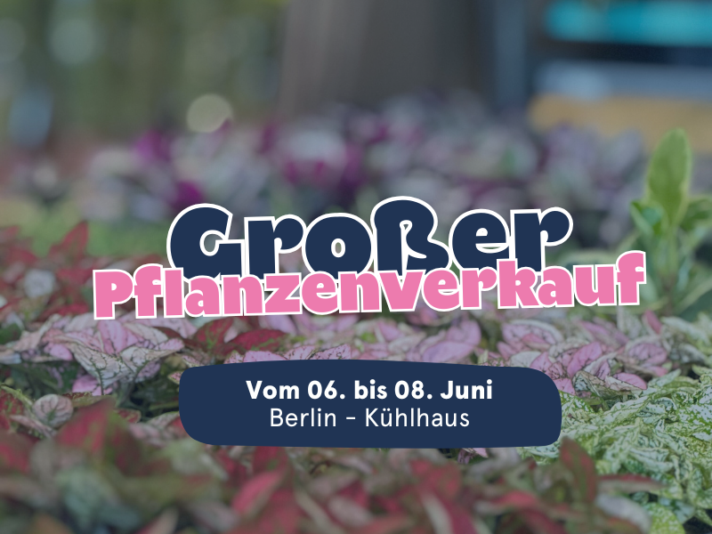 Großer Pflanzenverkauf  <br>Berlin