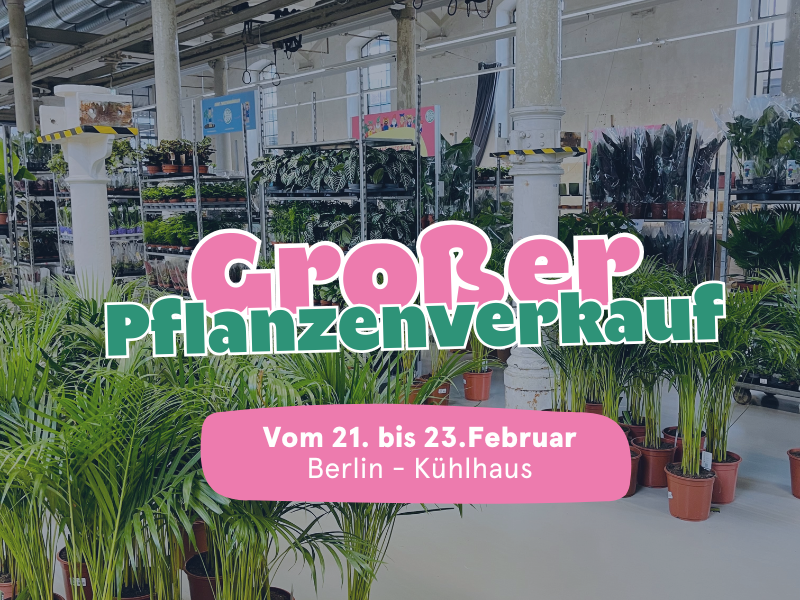 Großer Pflanzenverkauf Pflanzen für alle Berlin PflanzenFuerAlle