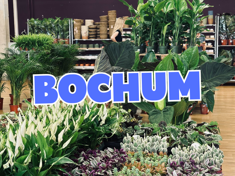 Großer Pflanzenverkauf <br> Bochum
