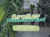 Großer Pflanzenverkauf <br> Braunschweig