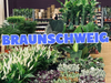 Großer Pflanzenverkauf <br> Braunschweig