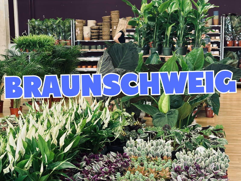 Großer Pflanzenverkauf <br> Braunschweig
