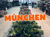 Großer Pflanzenverkauf <br> München
