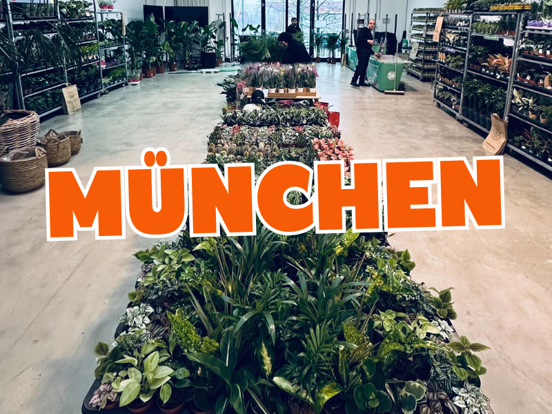 Großer Pflanzenverkauf <br> München