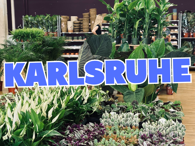 Großer Pflanzenverkauf <br> Karlsruhe