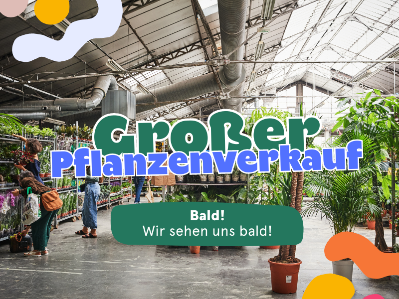 Großer Pflanzenverkauf  <br>Basel