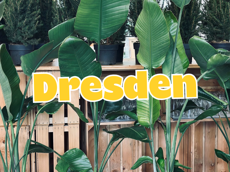 Großer Pflanzenverkauf <br> Dresden