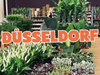 Großer Pflanzenverkauf <br> Düsseldorf