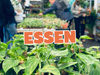 Großer Pflanzenverkauf <br> Essen