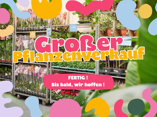 Großer Pflanzenverkauf <br> Halle