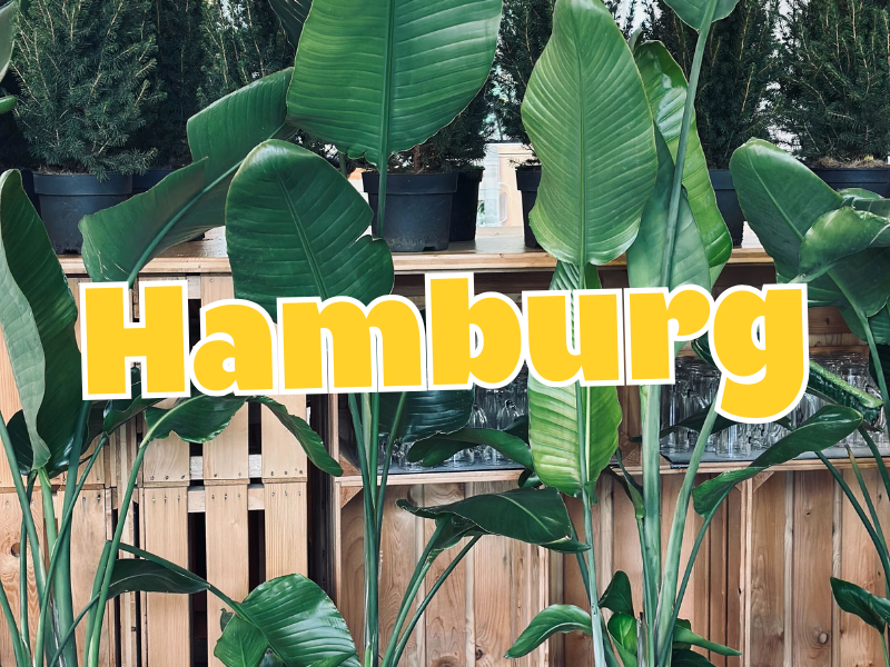 Großer Pflanzenverkauf <br> Hamburg