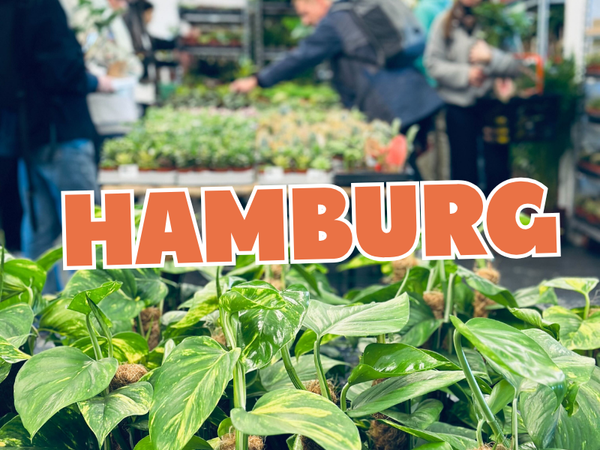 Großer Pflanzenverkauf <br> Hamburg