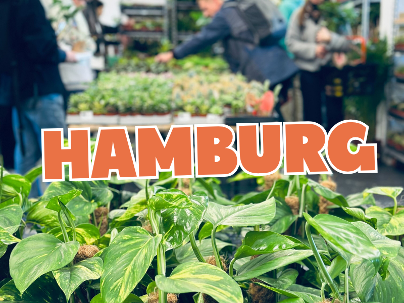 Großer Pflanzenverkauf <br> Hamburg