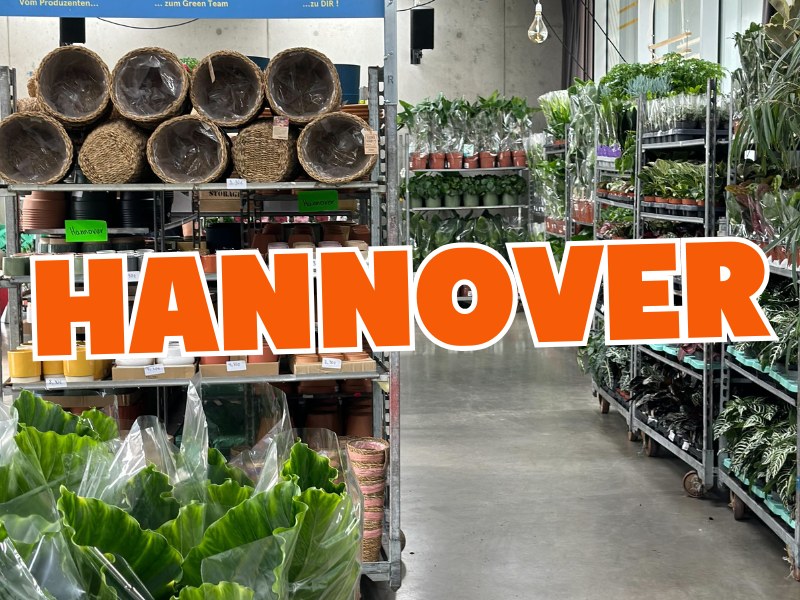 Großer Pflanzenverkauf <br> Hannover