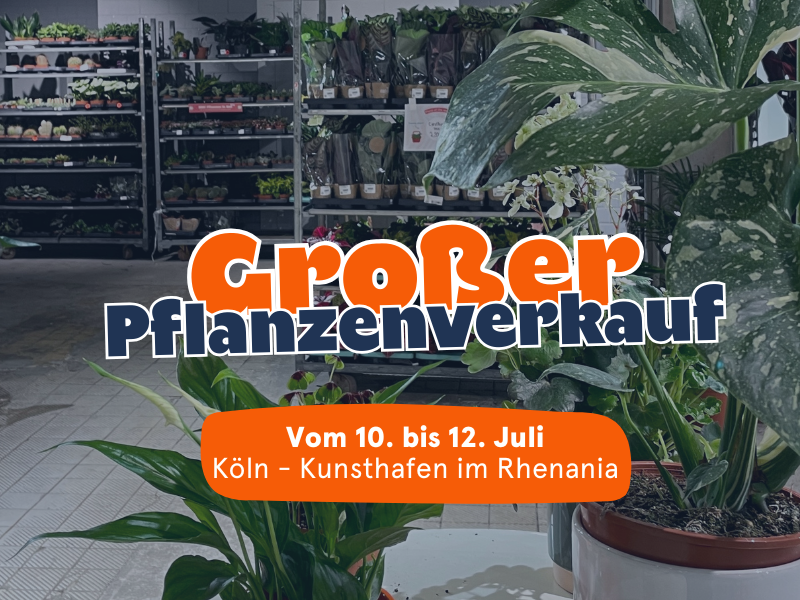 Großer Pflanzenverkauf <br> Köln