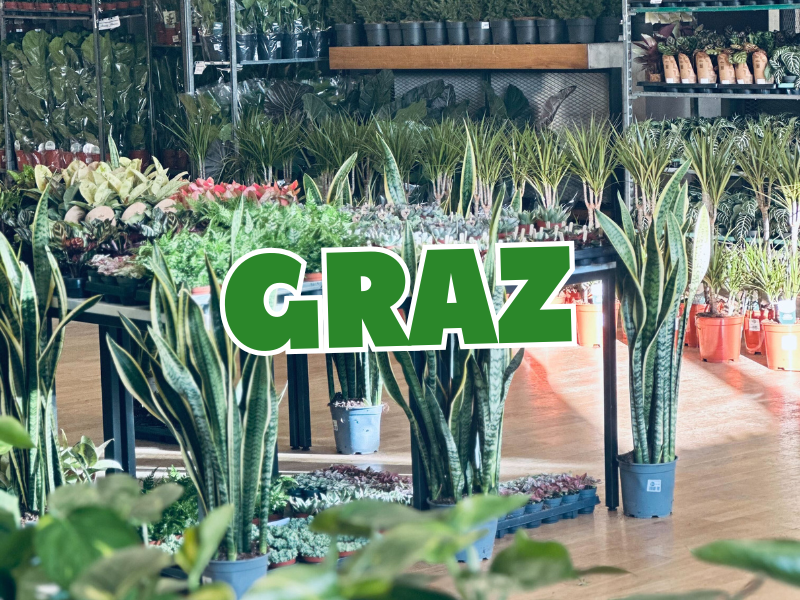 Großer Pflanzenverkauf <br> Graz