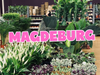 Großer Pflanzenverkauf <br> Magdeburg