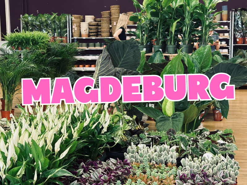 Großer Pflanzenverkauf <br> Magdeburg