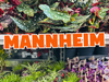 Großer Pflanzenverkauf<br> Mannheim