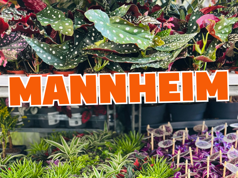 Großer Pflanzenverkauf<br> Mannheim