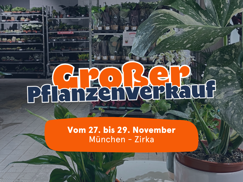Großer Pflanzenverkauf <br> München