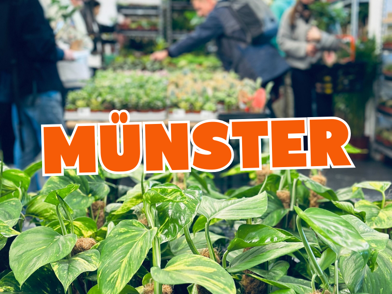 Großer Pflanzenverkauf <br> Münster