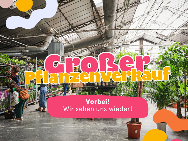Groer Pflanzenverkauf Pflanzen fr alle - Kassel  PflanzenFuerAlle
