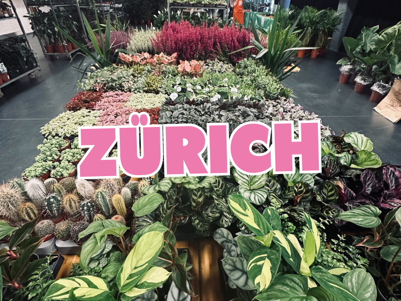 Großer Pflanzenverkauf  <br>Zürich