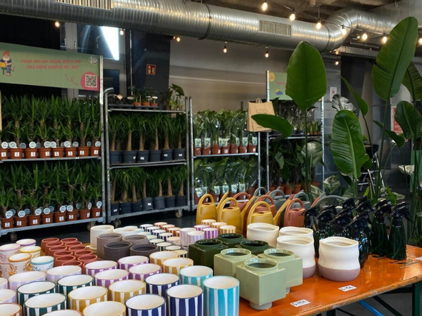 Großer Pflanzenverkauf <br> Stuttgart