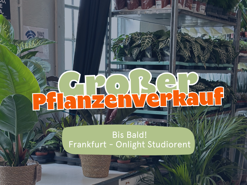 Großer Pflanzenverkauf <br> Frankfurt am Main