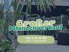 Großer Pflanzenverkauf <br> Köln