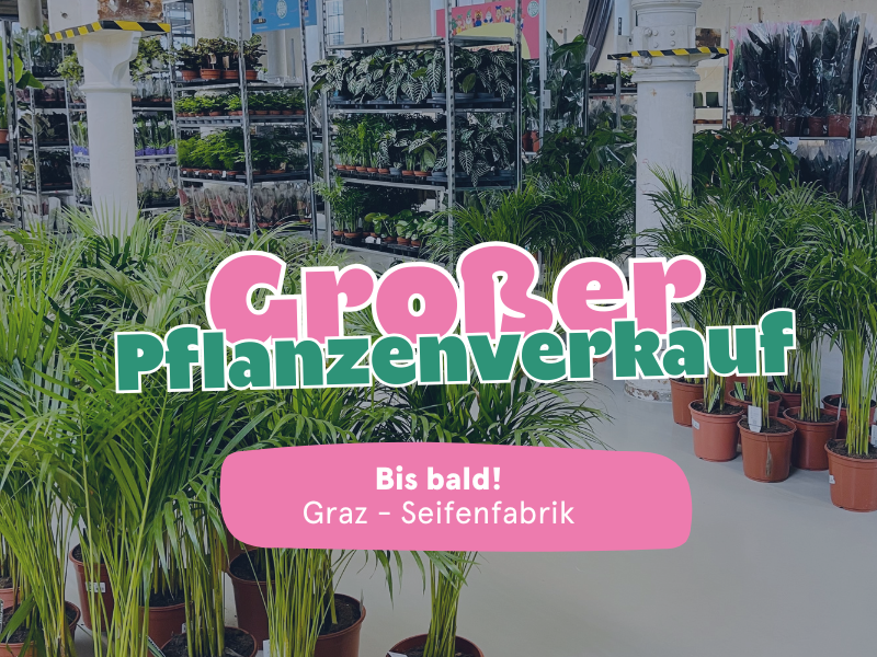 Großer Pflanzenverkauf <br> Graz