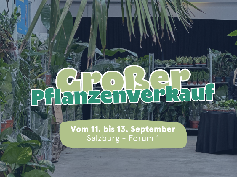 Großer Pflanzenverkauf Pflanzen für alle