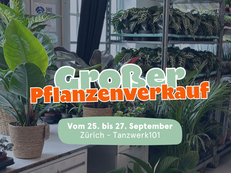 Großer Pflanzenverkauf  <br>Zürich