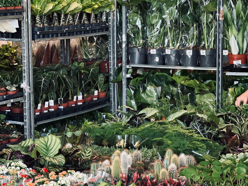 Großer Pflanzenverkauf <br> Leipzig