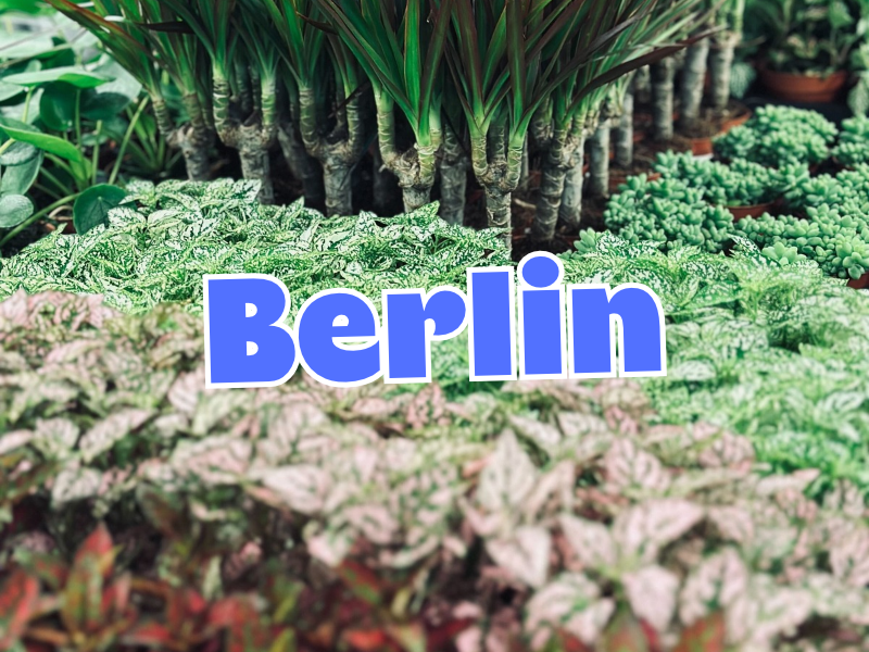 Großer Pflanzenverkauf  <br>Berlin