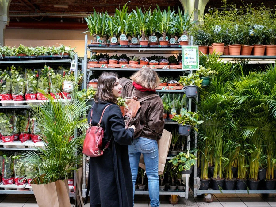 Großer Pflanzenverkauf <br> Hannover